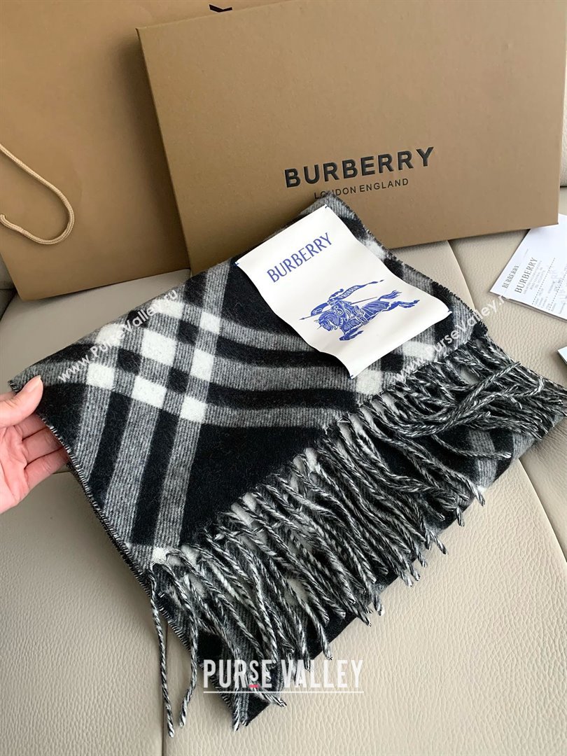 Burberry Cashmere Scarf 30x180cm B011601 Black 2025 Top Quality (WTZ-25011601)