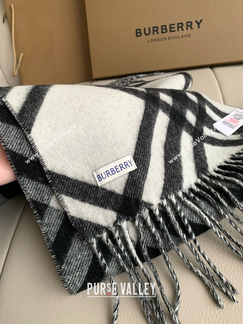 Burberry Cashmere Scarf 30x180cm B011601 Black 2025 Top Quality (WTZ-25011601)