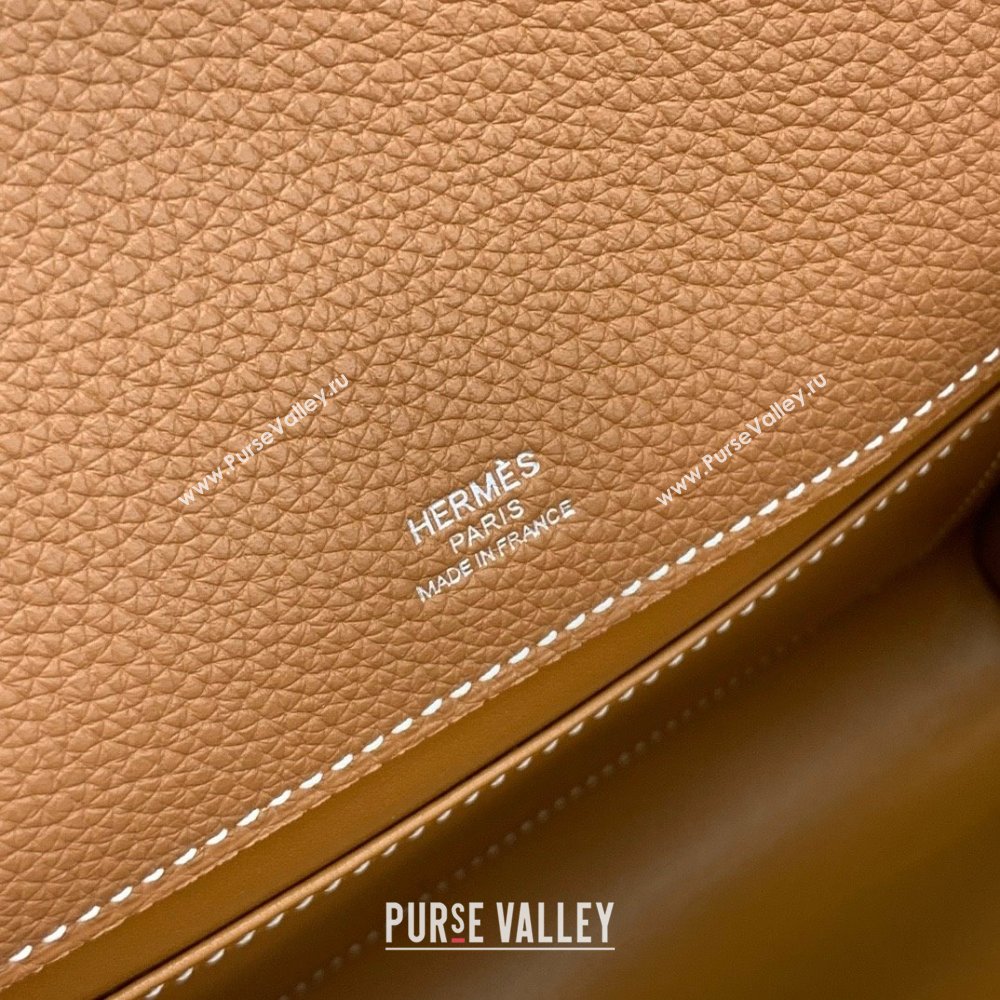 Hermes Sac a depeches 21 Bag in Original Togo Leather 37 Brown/Silver 2025(Full Handmade) (XYA-25012104)