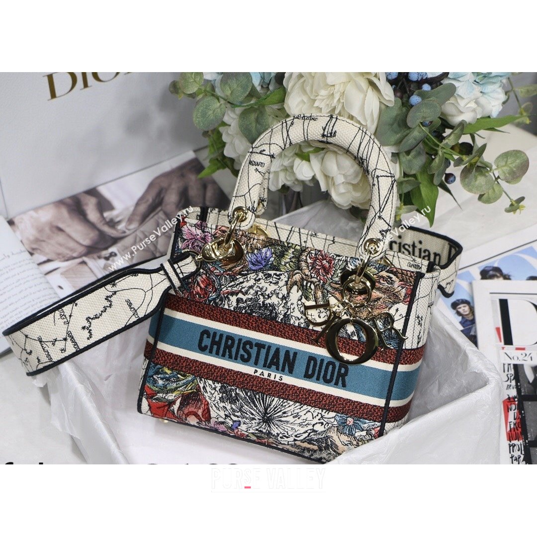 Dior Medium Lady D-Lite Bag in atte Multicolor Dior Constellation Embroidery 2021 (XXG-21090720)