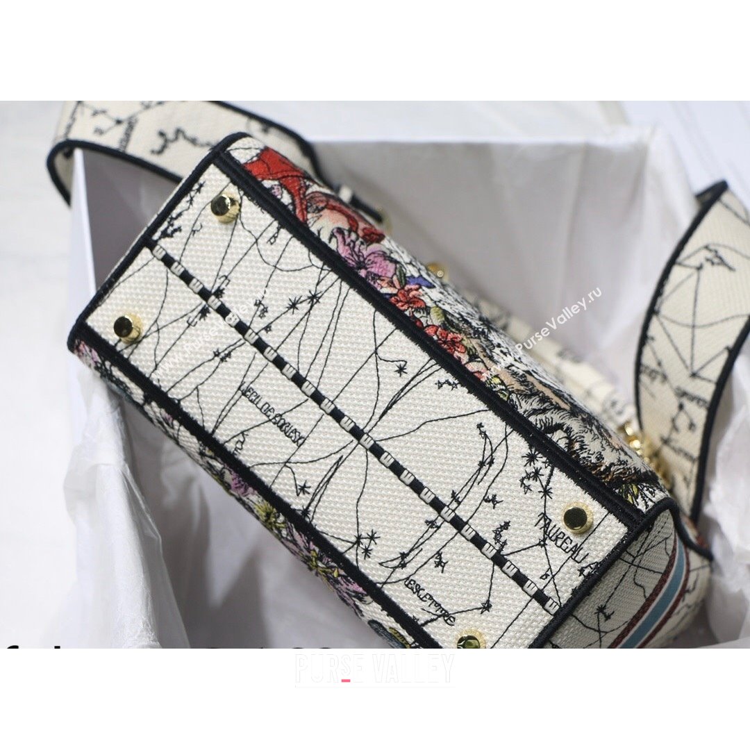 Dior Medium Lady D-Lite Bag in atte Multicolor Dior Constellation Embroidery 2021 (XXG-21090720)