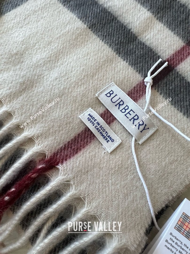 Burberry Check Cashmere Scarf B011001 2025 Top Quality (O-25011001)