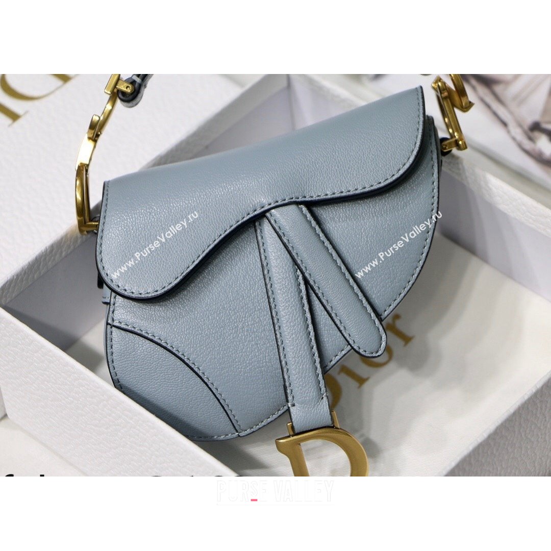 Dior Micro Saddle Bag in Cloud Blue Goatskin 2021 M6008 (XXG-21090745)