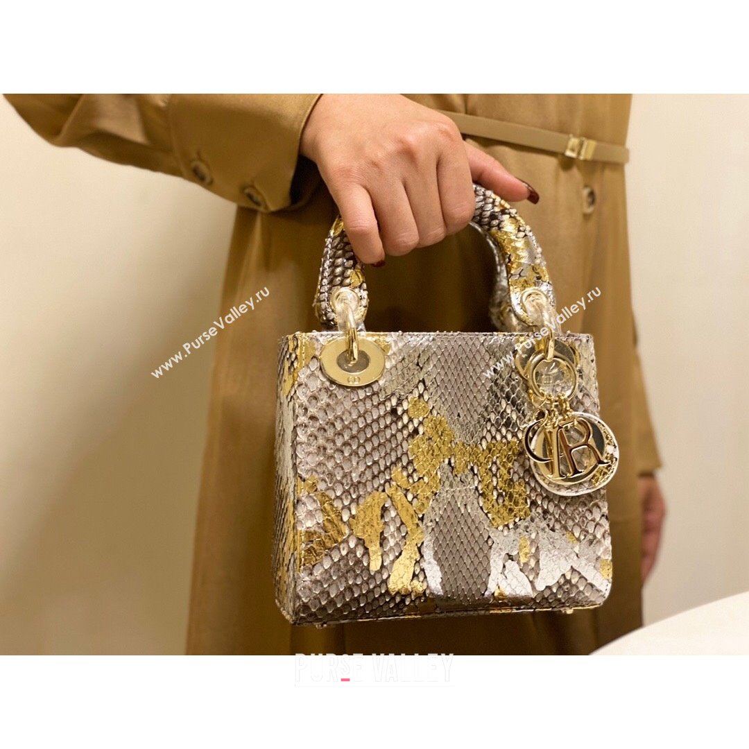 Dior Mini Lady Dior Bag in Python Leather Grey/Gold 2021 (XY-210903053)