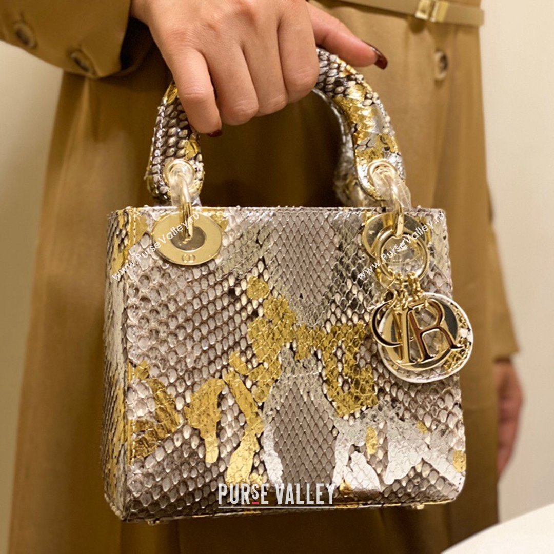 Dior Mini Lady Dior Bag in Python Leather Grey/Gold 2021 (XY-210903053)