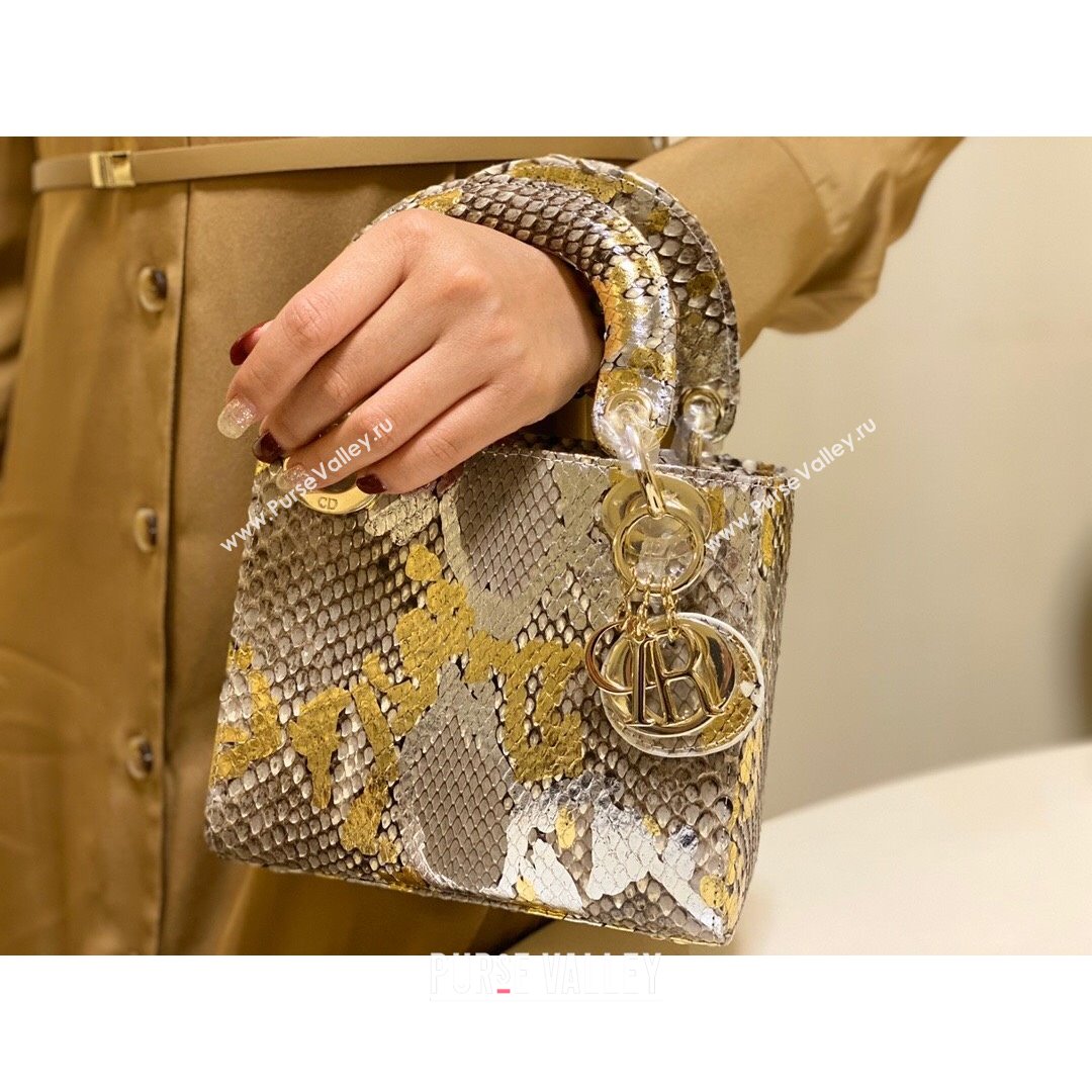 Dior Mini Lady Dior Bag in Python Leather Grey/Gold 2021 (XY-210903053)