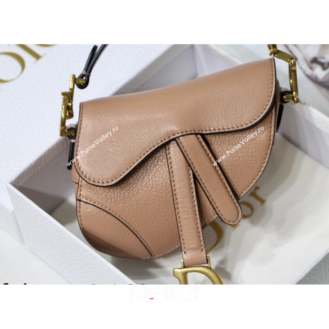 Dior Micro Saddle Bag in Pink Goatskin 2021 M6008 (XXG-21090744)