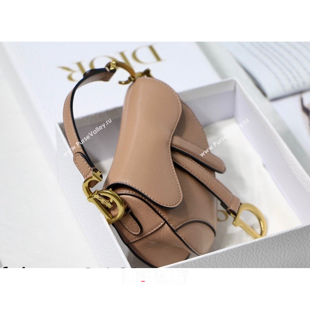 Dior Micro Saddle Bag in Pink Goatskin 2021 M6008 (XXG-21090744)