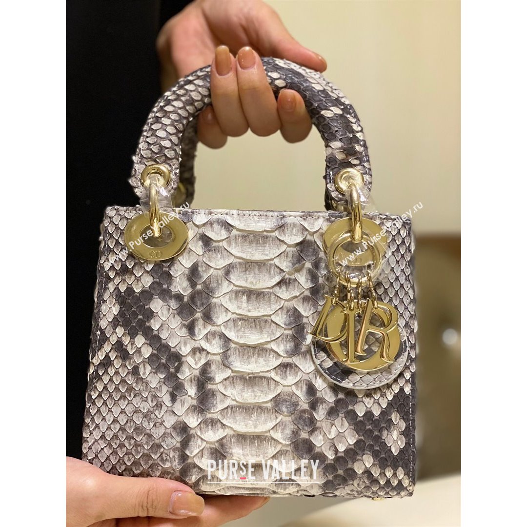 Dior Mini Lady Dior Bag in Python Leather Grey 2021 (XY-210903065)