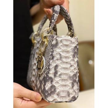 Dior Mini Lady Dior Bag in Python Leather Grey 2021 (XY-210903065)