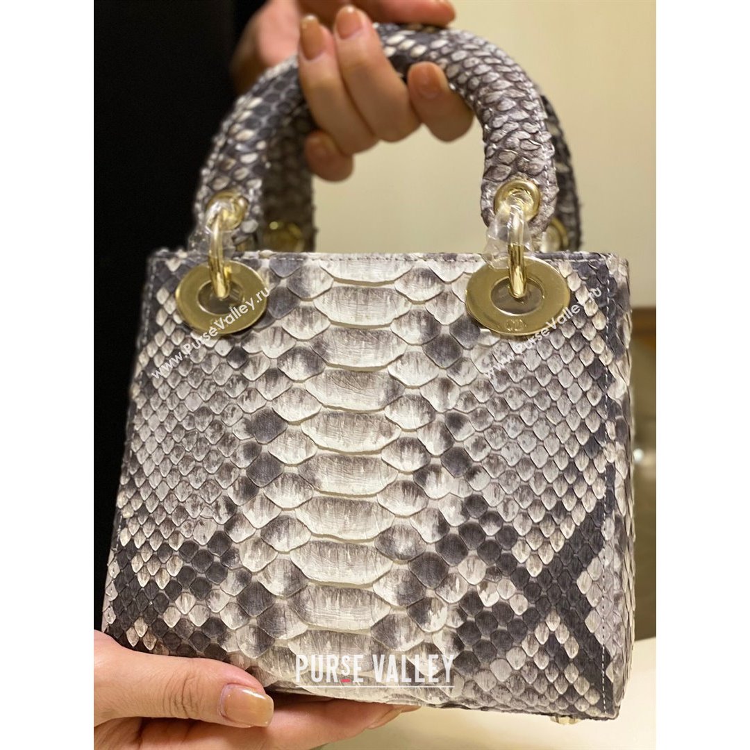 Dior Mini Lady Dior Bag in Python Leather Grey 2021 (XY-210903065)