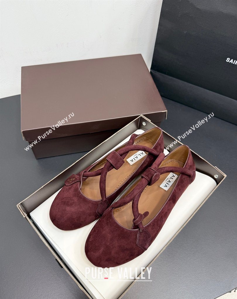 Alaia Architectura Ballet Flats in Suede with Strap Burgundy 2025 AL020701 (KER-260207045)