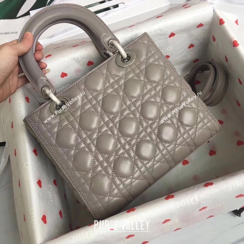 Dior Medium Lady Dior Bag in Cannage Lambskin 44532 Grey/Silver 2024 (DMZ-24041621)