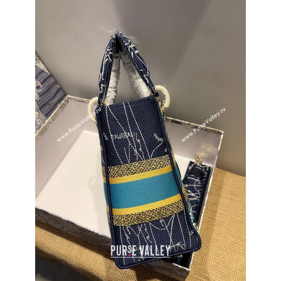 Dior Medium Lady D-Lite Bag in Blue Constellation Embroidery 2021 (XXG-21090721)