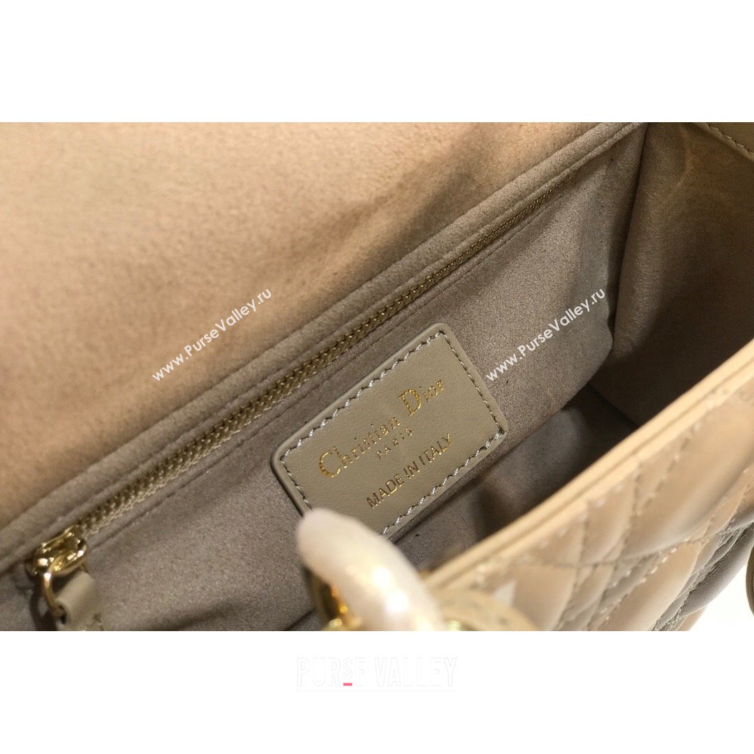 Dior Lady Dior My ABCDior Small Bag in Beige Cannage Shiny Lambskin 2021 (BINF-21090814)