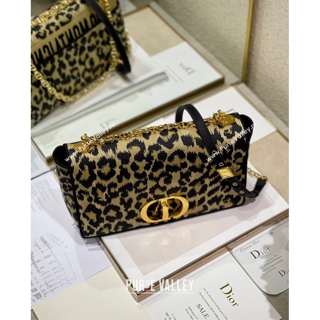 Dior Large Caro Bag in Beige Multicolor Mizza Embroidery 2021 (XXG-21090817)