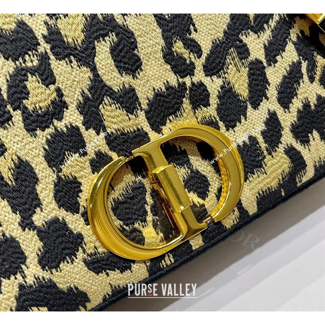 Dior Large Caro Bag in Beige Multicolor Mizza Embroidery 2021 (XXG-21090817)
