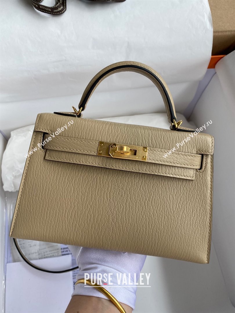 Hermes Mini Kelly II Bag 19cm in Original Chevre Leather Turtledove Grey/Gold 2024 (XYA-24022906)