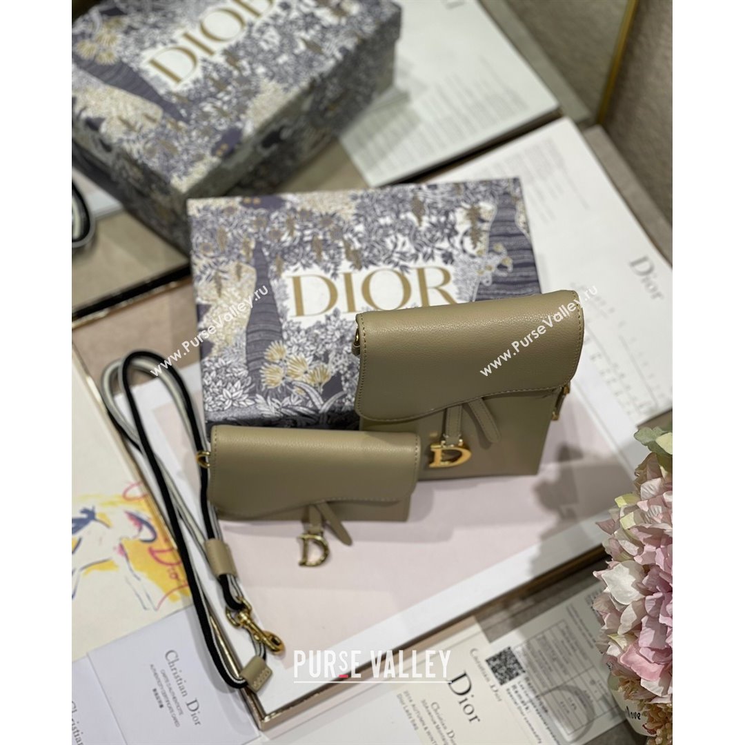 Dior Saddle Multifunctional Pouch Beige 2021 (BINF-21090832)