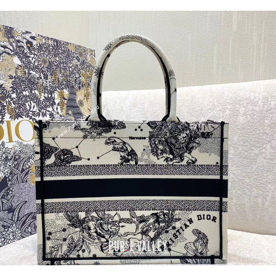 Dior Small Book Tote Bag in Latte White Multicolor Zodiac Embroidery 2021 (XXG-21090843)