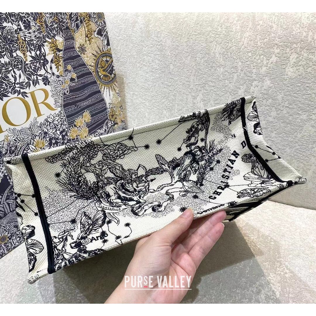 Dior Small Book Tote Bag in Latte White Multicolor Zodiac Embroidery 2021 (XXG-21090843)