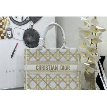 Dior Medium Book Tote Bag in White and Gold Macrocannage Embroidery 2024 (BF-240312059)