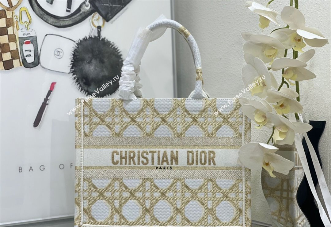 Dior Medium Book Tote Bag in White and Gold Macrocannage Embroidery 2024 (BF-240312059)
