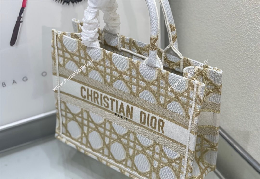 Dior Medium Book Tote Bag in White and Gold Macrocannage Embroidery 2024 (BF-240312059)
