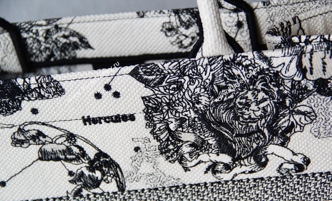 Dior Small Book Tote Bag in White and Black Toile de Jouy Zodiac Embroidery 2024 (DMZ-240312064)