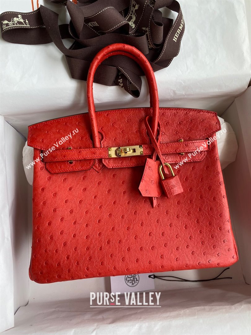 Hermes Birkin 25cm Bag in Ostrich Leather Ferrari Red/Gold 2024 (Full Handmade) (XYA-24081905)