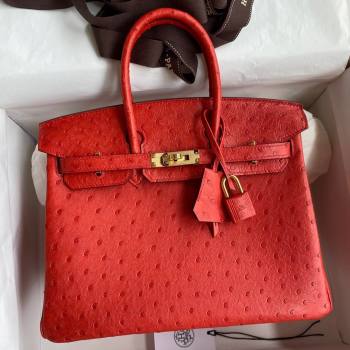 Hermes Birkin 25cm Bag in Ostrich Leather Ferrari Red/Gold 2024 (Full Handmade) (XYA-24081905)