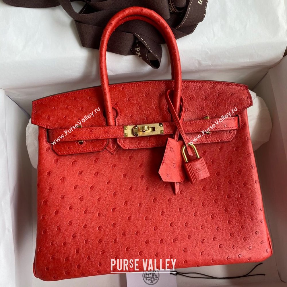 Hermes Birkin 25cm Bag in Ostrich Leather Ferrari Red/Gold 2024 (Full Handmade) (XYA-24081905)