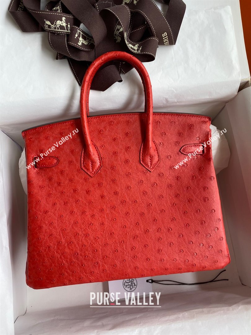 Hermes Birkin 25cm Bag in Ostrich Leather Ferrari Red/Gold 2024 (Full Handmade) (XYA-24081905)