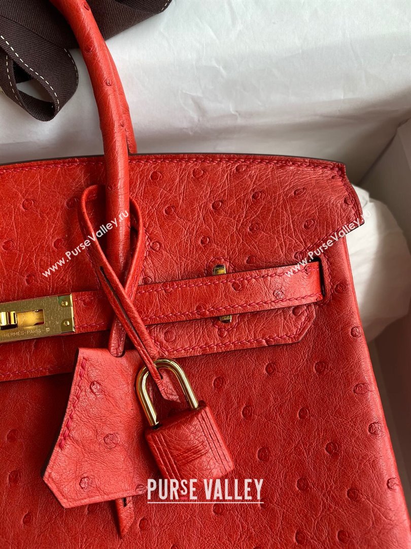 Hermes Birkin 25cm Bag in Ostrich Leather Ferrari Red/Gold 2024 (Full Handmade) (XYA-24081905)