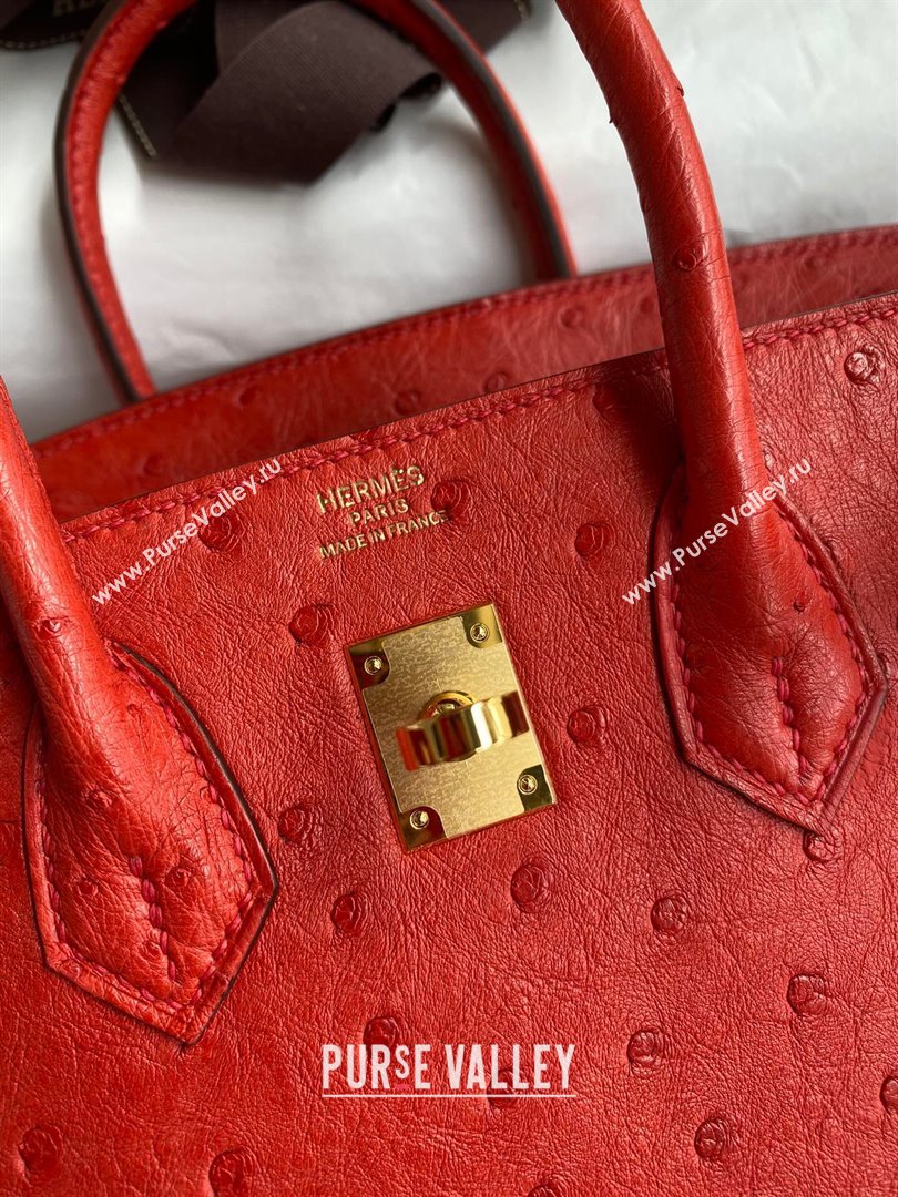 Hermes Birkin 25cm Bag in Ostrich Leather Ferrari Red/Gold 2024 (Full Handmade) (XYA-24081905)