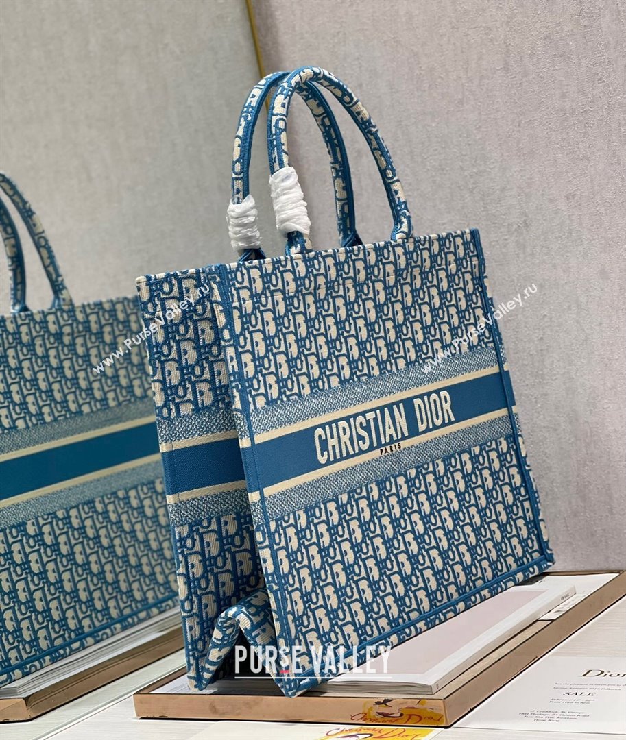 Dior Large Book Tote Bag in Ocean Blue Oblique Embroidery 2021 (XXG-21102031)