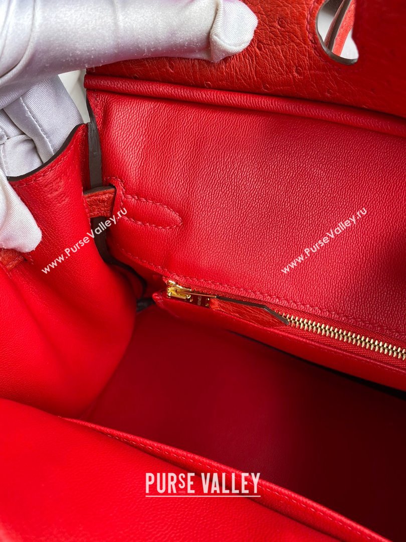 Hermes Birkin 25cm Bag in Ostrich Leather Ferrari Red/Gold 2024 (Full Handmade) (XYA-24081905)