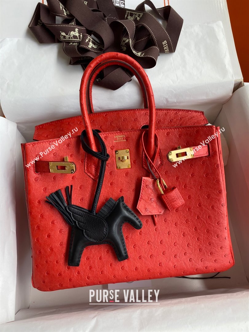 Hermes Birkin 25cm Bag in Ostrich Leather Ferrari Red/Gold 2024 (Full Handmade) (XYA-24081905)