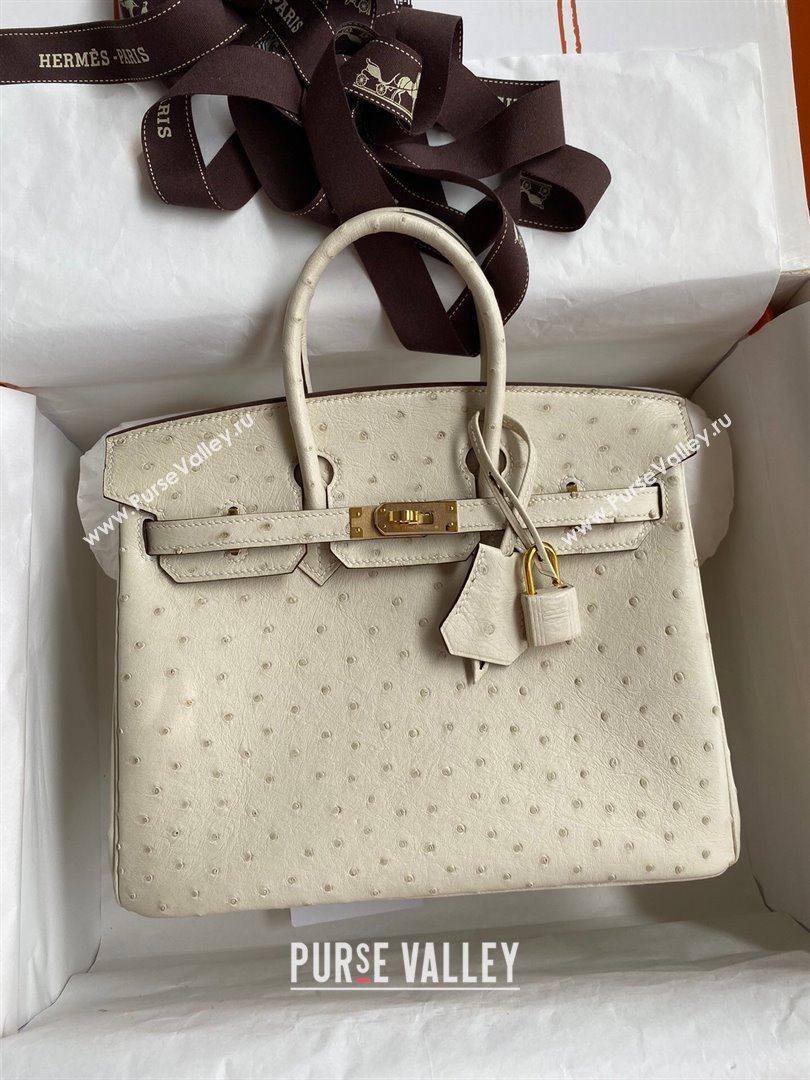 Hermes Birkin 25cm Bag in Ostrich Leather Wool White/Gold 2024 (Full Handmade) (XYA-24081906)