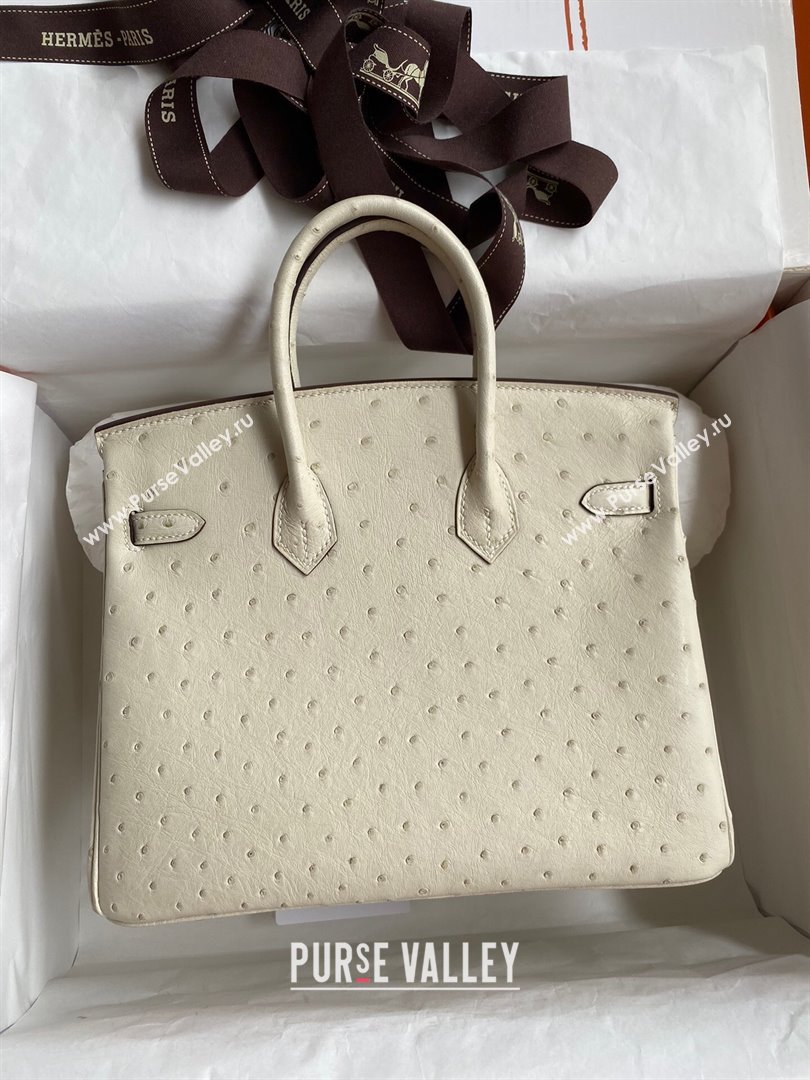 Hermes Birkin 25cm Bag in Ostrich Leather Wool White/Gold 2024 (Full Handmade) (XYA-24081906)