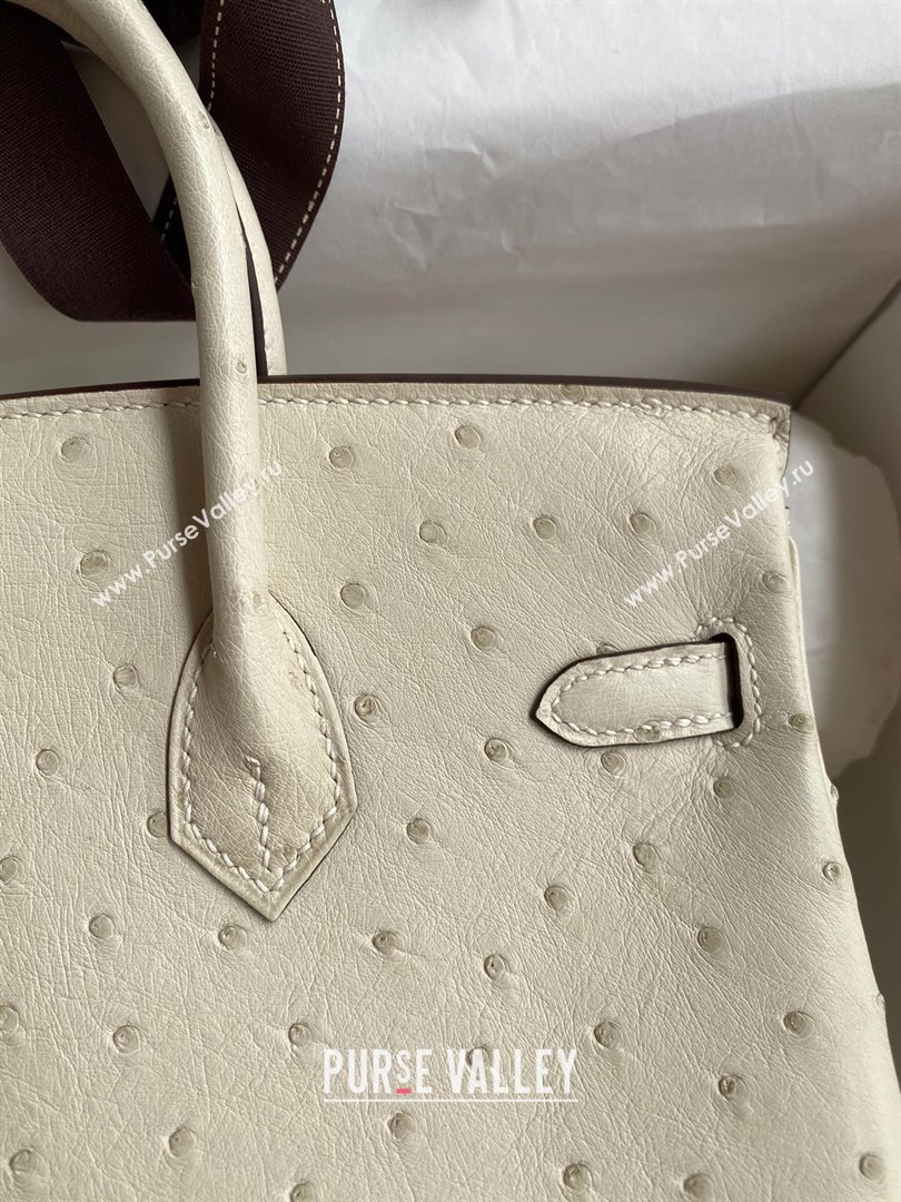 Hermes Birkin 25cm Bag in Ostrich Leather Wool White/Gold 2024 (Full Handmade) (XYA-24081906)