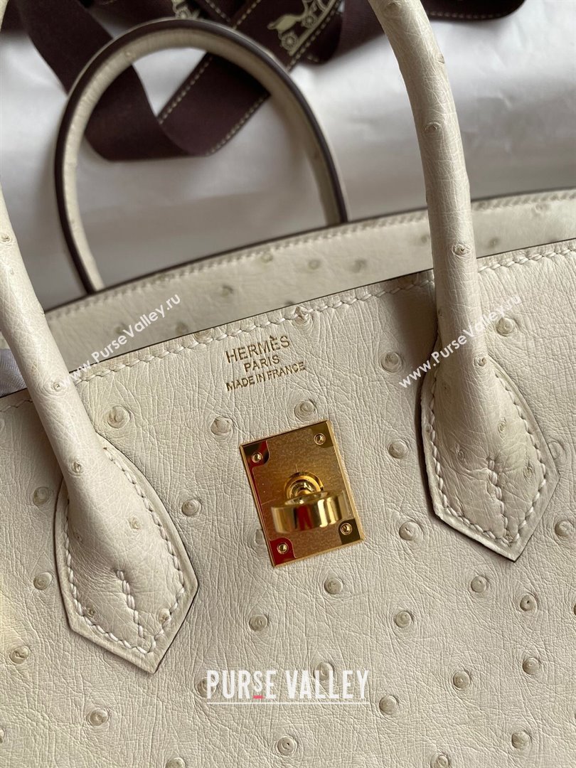 Hermes Birkin 25cm Bag in Ostrich Leather Wool White/Gold 2024 (Full Handmade) (XYA-24081906)