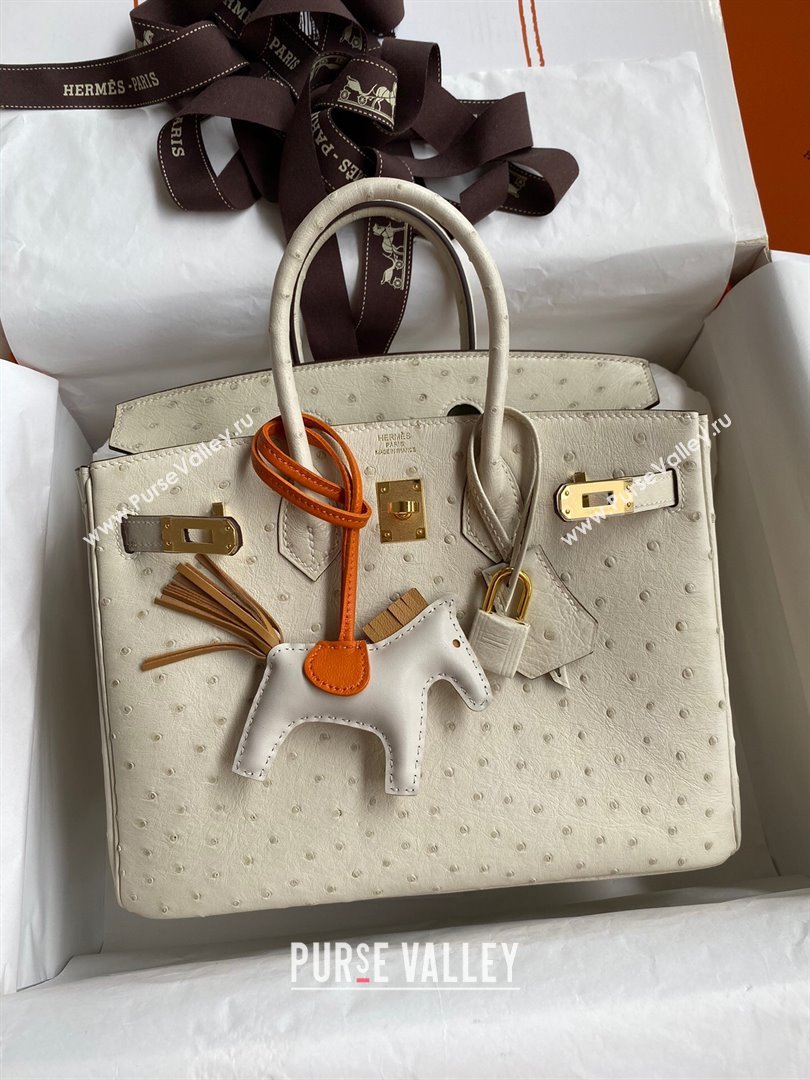 Hermes Birkin 25cm Bag in Ostrich Leather Wool White/Gold 2024 (Full Handmade) (XYA-24081906)