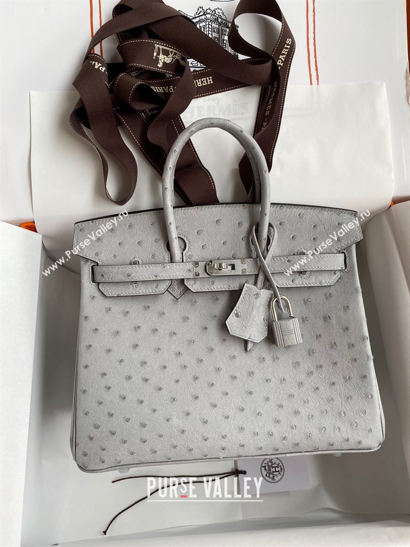 Hermes Birkin 25cm Bag in Ostrich Leather Glacier Blue/Silver 2024 (Full Handmade) (XYA-24081908)