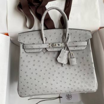 Hermes Birkin 25cm Bag in Ostrich Leather Glacier Blue/Silver 2024 (Full Handmade) (XYA-24081908)