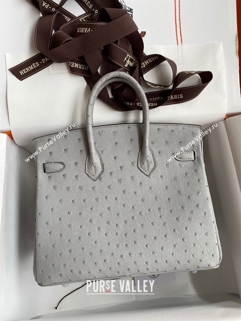 Hermes Birkin 25cm Bag in Ostrich Leather Glacier Blue/Silver 2024 (Full Handmade) (XYA-24081908)