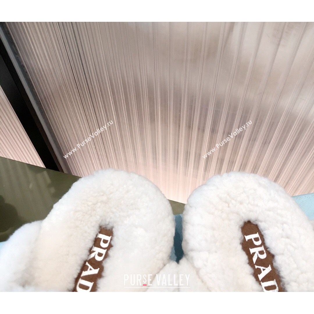 Prada Suede Shearling Slipper Dark Brown 2021 (KL-21081457)