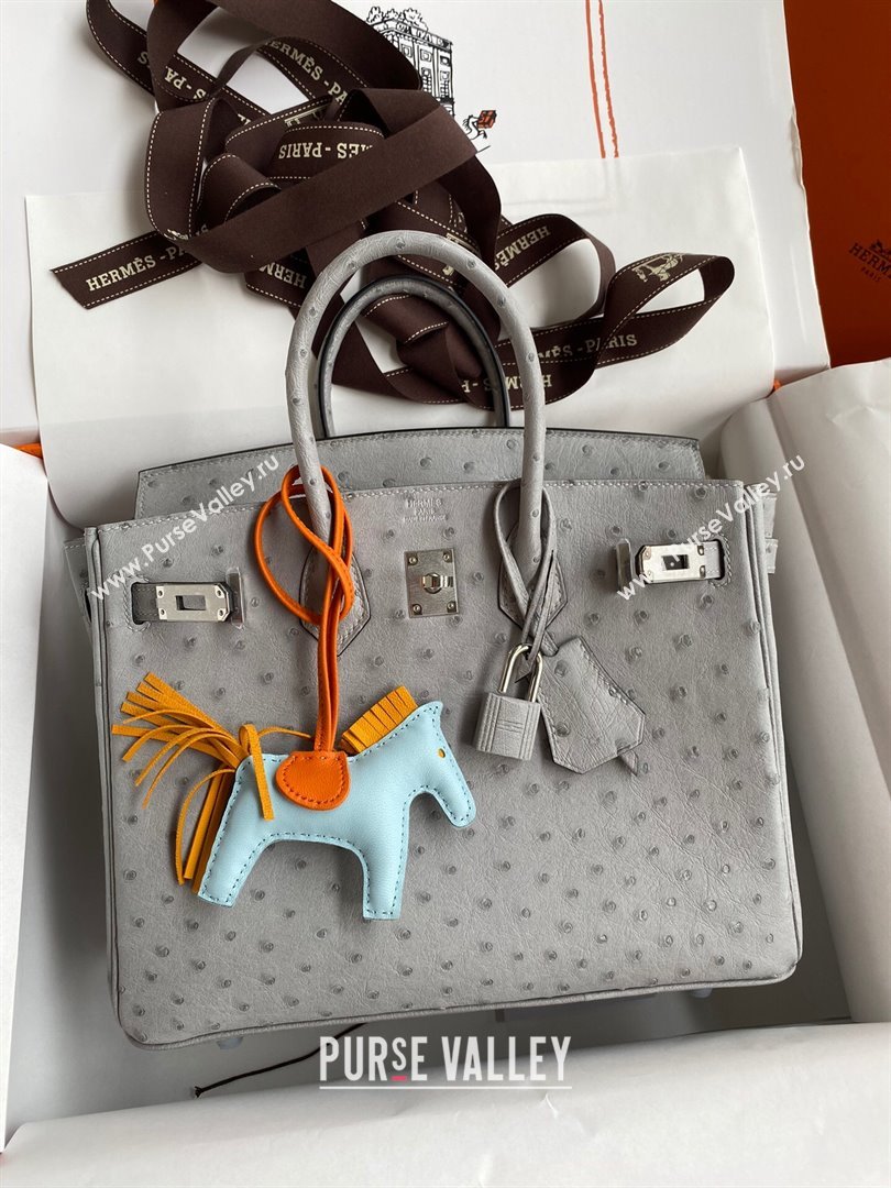 Hermes Birkin 25cm Bag in Ostrich Leather Glacier Blue/Silver 2024 (Full Handmade) (XYA-24081908)