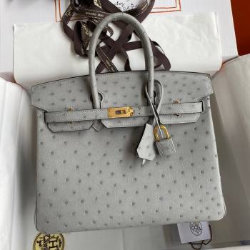 Hermes Birkin 25cm Bag in Ostrich Leather Glacier Blue/Gold 2024 (Full Handmade) (XYA-24081907)