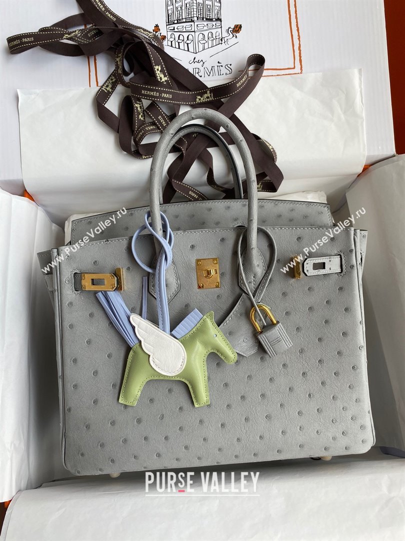 Hermes Birkin 25cm Bag in Ostrich Leather Glacier Blue/Gold 2024 (Full Handmade) (XYA-24081907)